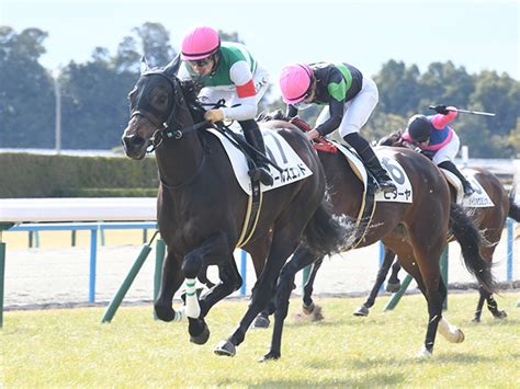 【京都5r新馬戦結果】ロードカナロア産駒ワールズエンドが抜け出し快勝 競馬ニュース Netkeiba