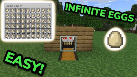 SIMPLE 1 21 AUTOMATIC EGG FARM TUTORIAL In Minecraft Bedrock MCPE Xbox