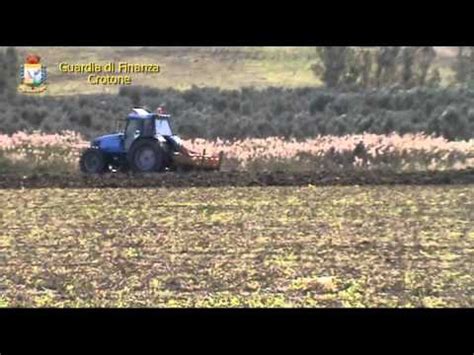 Falsi Braccianti Agricoli A Crotone Youtube