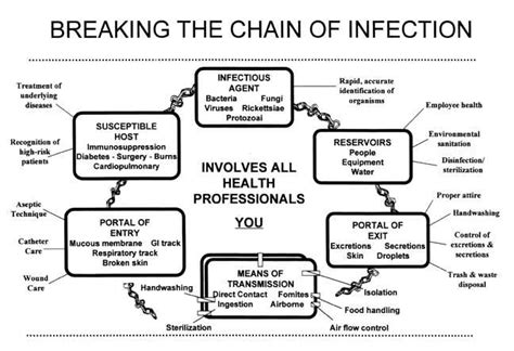 Chain Of Infection Examples Quizlet