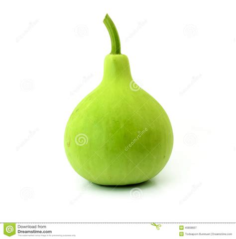 Green Gourd Clipart 20 Free Cliparts Download Images On Clipground 2023