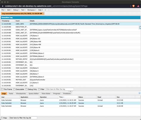 View Apex Debug Logs Locally