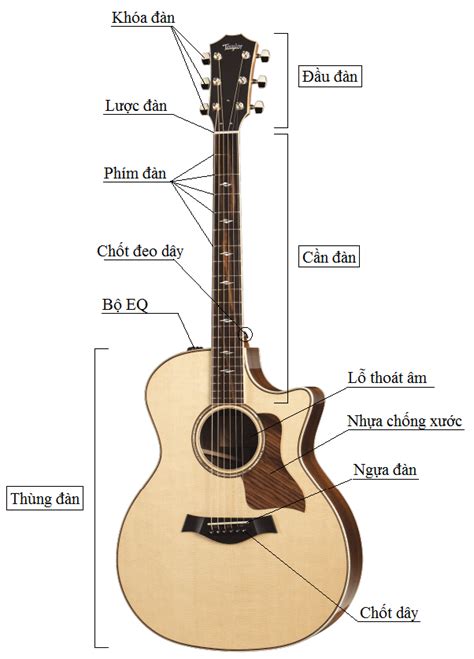 Hướng Dẫn Cách đánh đàn Guitar đơn Giản Cho Người Mới Daydanvn