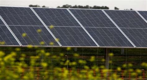 Bruc conecta tres plantas solares en Alcalá de Guadaira y suma ya 795