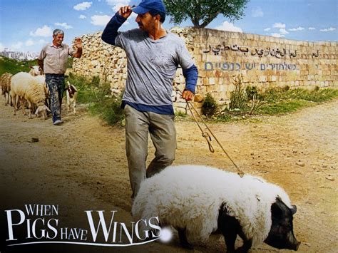 Award Winning Film When Pigs Have Wings Week Van De Fair Trade