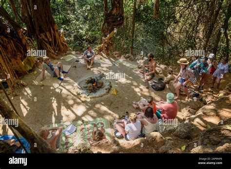 People under big banyan tree in Arambol. Goa Stock Photo - Alamy