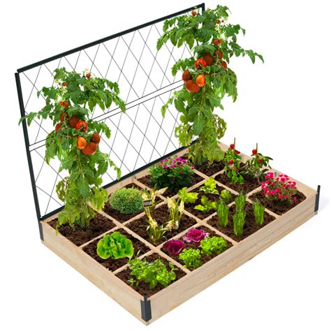 Kit Complet Carr S Potager Et Serre Tomates Treillis Housse