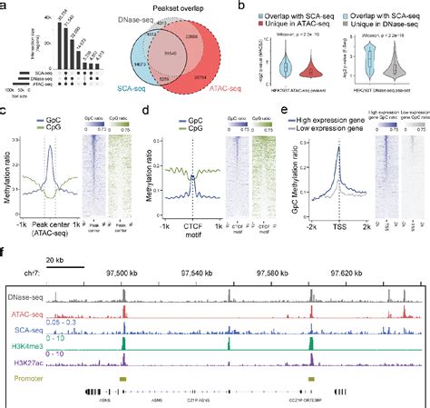 Spatial Chromatin Accessibility Sequencing Resolves High Order Spatial