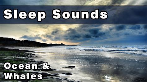 Whale Sounds Ocean Waves Soothing Sleep Sounds White Noise Sound