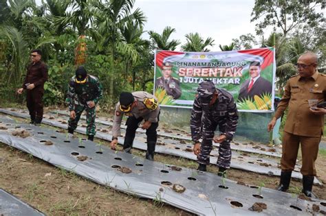 Wujudkan Swasembada Pangan Polres Nias Selatan Dan Forkopimda