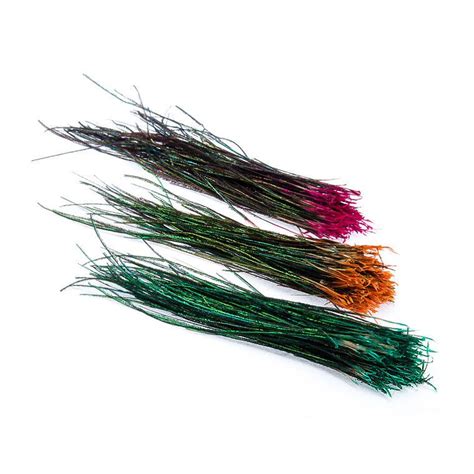 BG Peacock Herl BG Paw Promienie | Fly Tying Materials \ Feathers ...