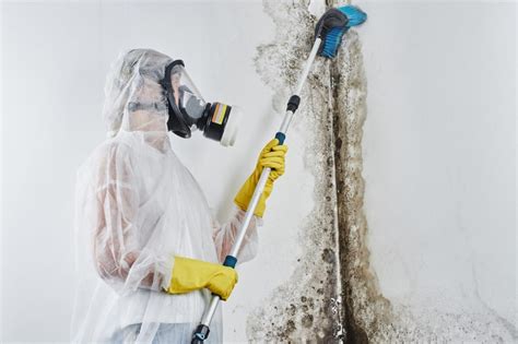 Dependable Mold Remediation Contractor In Grants Pass Or