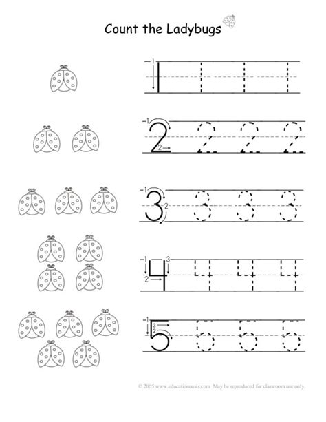 Count The Ladybugs Worksheet For Kindergarten Lesson Planet