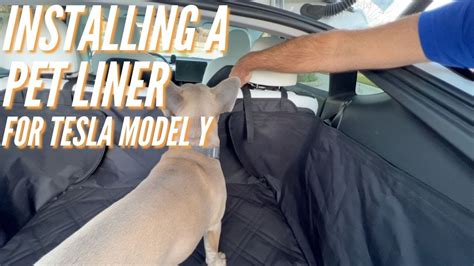 Petdog Trunk Liner For The Tesla Model Y Youtube