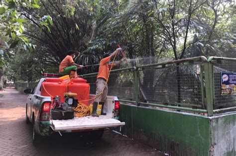 Ragunan Pastikan Kebutuhan Pakan Satwa Terpenuhi Selama Pandemi