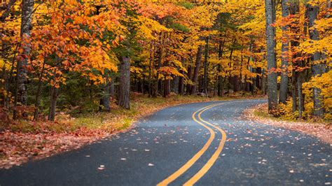 Autumn Drive Wallpapers Wallpaper Cave