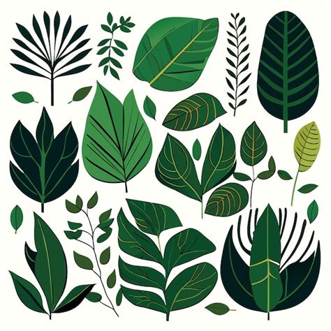 Premium Vector Rainforest Leaf Vector Graphics