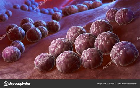 Infecciones Por Clamidia Síntomas Tratamiento MedlinePlus 51 OFF