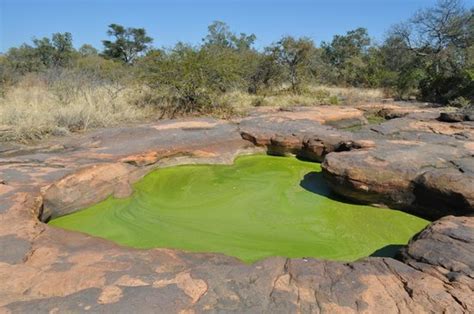 Matsieng's Footprints (Gaborone) - Aktuelle 2021 - Lohnt es sich? (Mit ...