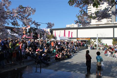 San Francisco Cherry Blossom Festival Michael Ocampo Flickr