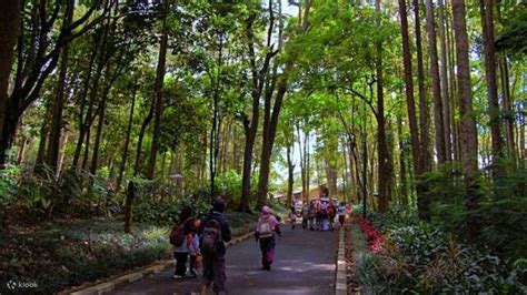 Trekking Tour Taman Hutan Raya Curug Maribaya Goa Belanda Dari