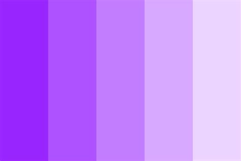 Electric Amethyst Color Palette