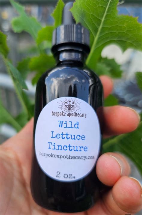 2 Oz Wild Lettuce Tincture For Pain And Inflammation Relief