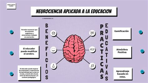 Mapa Mental Neurociencias En La Educaci N The Best Porn Website