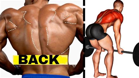 Back Workout Routine To Build Wider Back Youtube