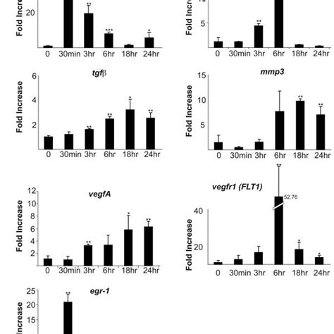 Qrtpcr Analysis Of Gene Induction Of Proliferation And Angiogenesis