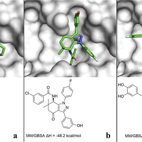 Structure And Experimental Binding Mode Of Inhibitor X77 In The Complex