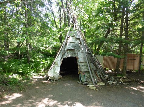 Free Images Forest Summer Hut Jungle Historic Dwelling Shelter