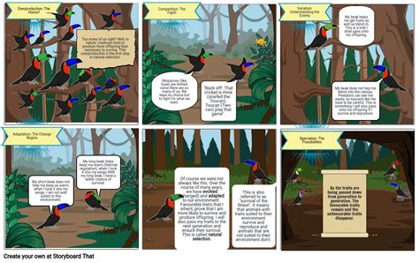 Natural Selection Comic Strip Example Storyboard