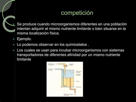 Interacciones Microbianas Ppt