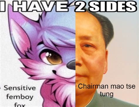 I Have 2 Sides Meme Template