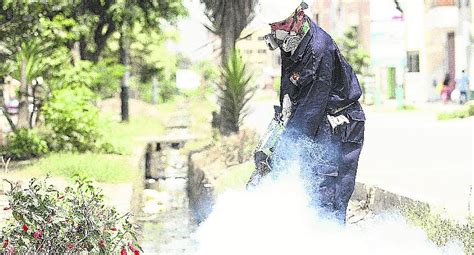 Dengue Amenaza A 26 Distritos De Lima CIUDAD OJO