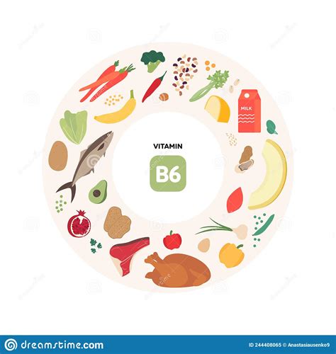 Healthy Food Guide Concept Vector Flat Illustration Infographic Of B