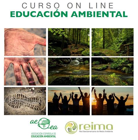 Curso Online De Educación Ambiental 2024 Asociación Española De