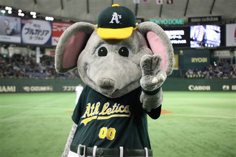 Download Oakland Athletics Mascot Wallpaper | Wallpapers.com