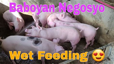 Wet Feeding Baboy | Baboyan Negosyo | LynMark_Neo - YouTube