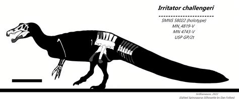 Irritator challengeri (SirBlameson) : r/Paleo_Skeletals