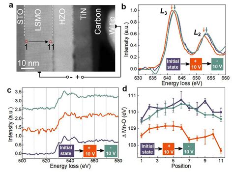 In Situ Stem Results Of Oxygen Migration A Stem Haadf Image Of The W