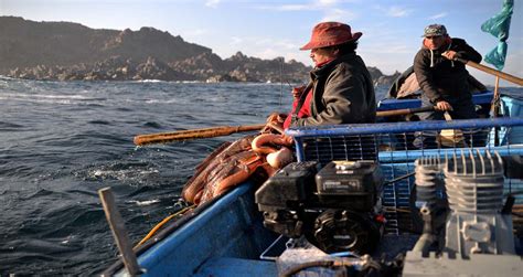 Coquimbo Rinde Homenaje A Pescadores Artesanales Como Patrimonio Vivo