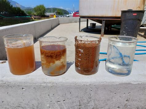 Elevating Environmental Responsibility: Creative Salmon's Path to ...