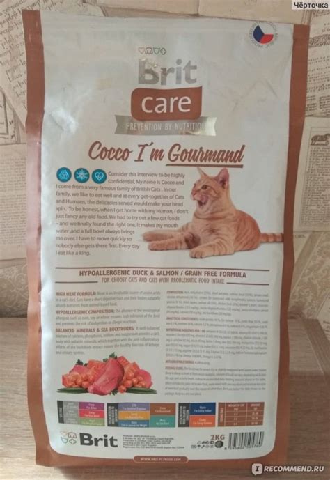 Корм Брит для кошек - состав, обзор, описание