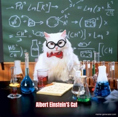 Albert Einsteins Cat Meme Generator
