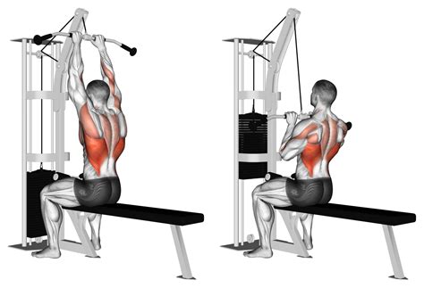 Close Grip Lat Pulldown: Benefits, Muscles Worked, and More - Inspire US