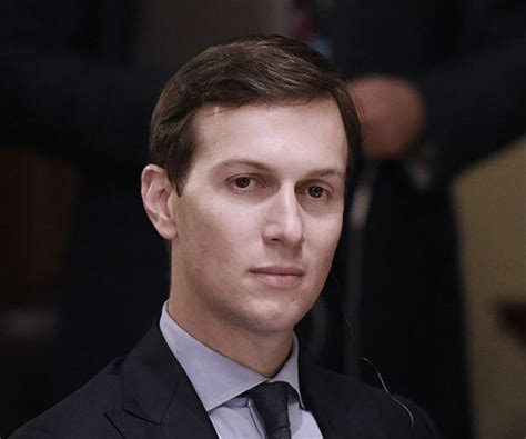 The Hill: Kushner Sought 'Morning Joe' Apology to Trump to Avoid ...