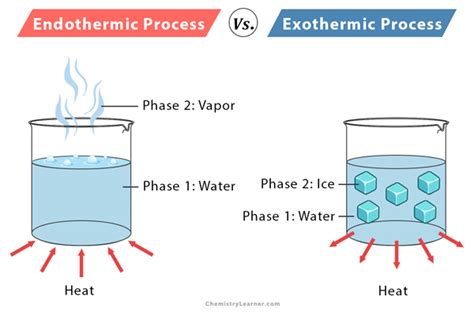 Endothermic Reaction: Definition, Equation, Graph & Examples