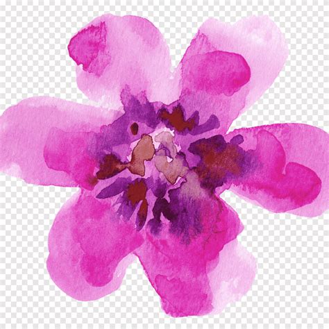 Watercolour Flowers Watercolor Painting Drawing Paper Painting Purple